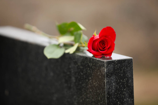 Red rose on black granite tombstone outdoors. Funeral ceremony - Foto, Imagen