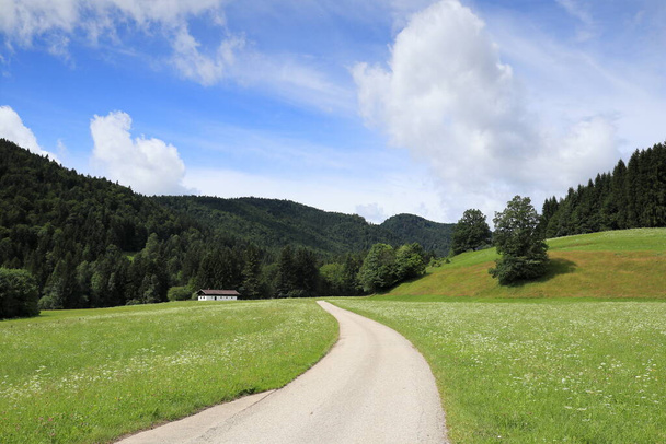 road in natural landscape with alpine pasture - Foto, afbeelding