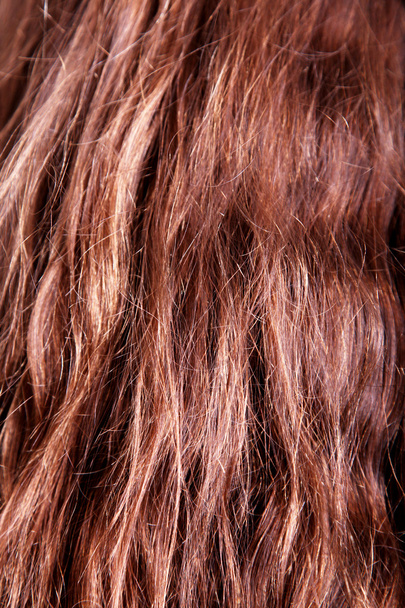 καστανά μαλλιά - Φωτογραφία, εικόνα