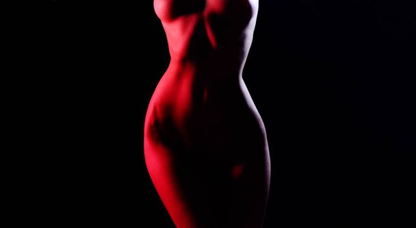 Woman sexy perfect body shape. Nude sexy woman. Perfect naked body of sexy lady. Fashion art photo of elegant nude model in the light colored spotlights. - Foto, Imagen