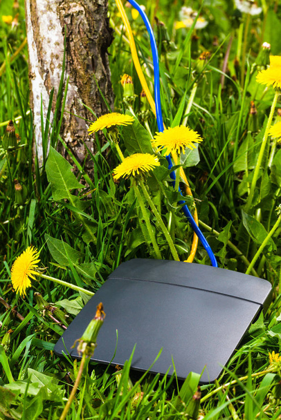 black wireless router, yellow and blue ethernet cables  on lawn with dandelions and tree trunk - Φωτογραφία, εικόνα