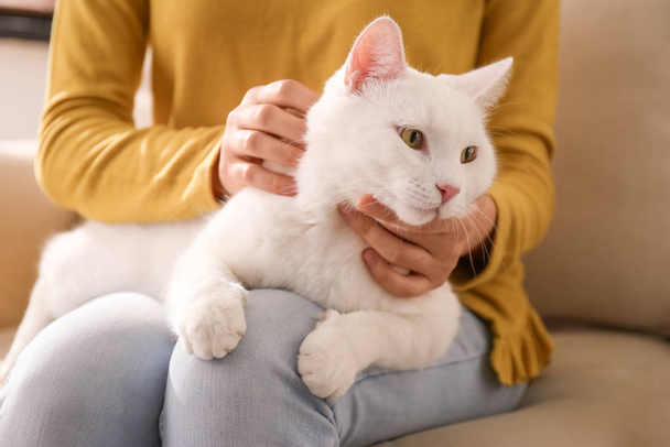 Young woman with her beautiful white cat at home, closeup. Fluff - Foto, afbeelding