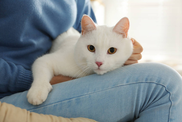 Young woman with her beautiful white cat at home, closeup. Fluffy pet - Foto, afbeelding