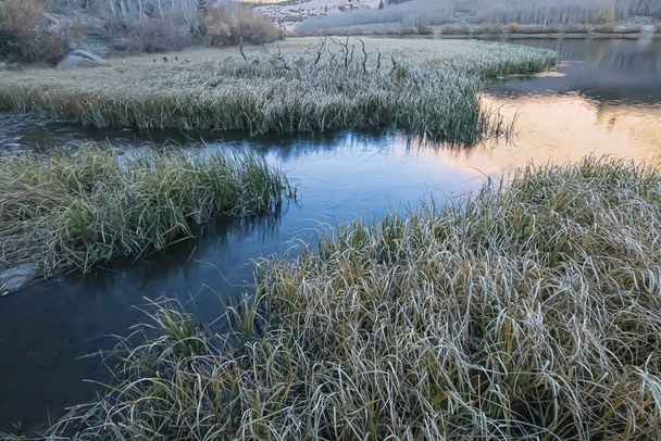labrinth of water through grassy shoreline with ice - Photo, Image