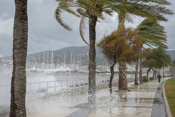 шторм в заливе
  - Фото, изображение