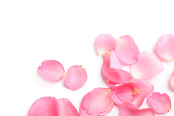 Fresh pink rose petals on white background, top view - Фото, зображення