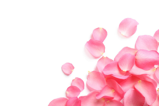 Fresh pink rose petals on white background, top view - Photo, Image