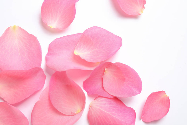 Fresh pink rose petals on white background, top view - 写真・画像
