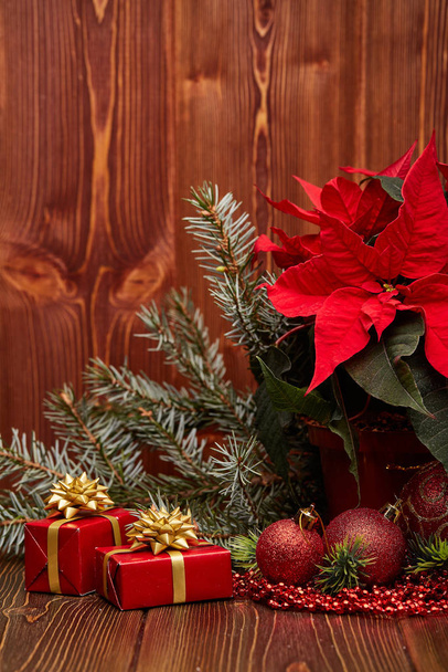 Christmas decoration with Red Poinsettia flowers (Euphorbia Pulcherrima), fir branch, gift boxes, red balls and beads on wooden background.  New year and Christmas background with copy space. Greeting card. - 写真・画像