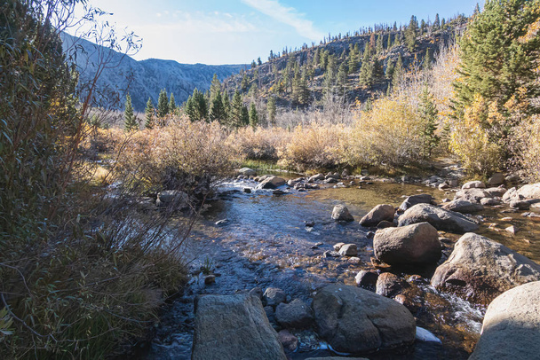 bishop creek flowing through forested hills and mountains - Photo, Image