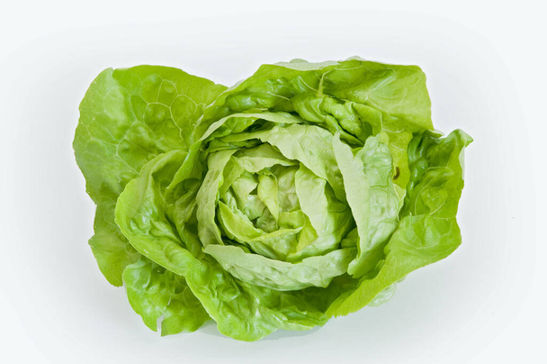 a head of salad on a white surface - Foto, immagini