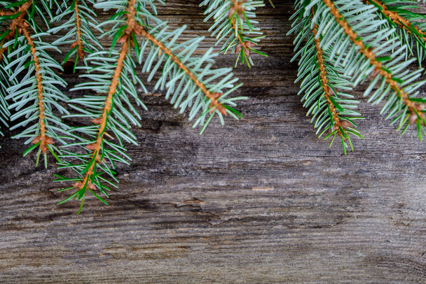 christmas sill with fir branch on wooden ground - 写真・画像