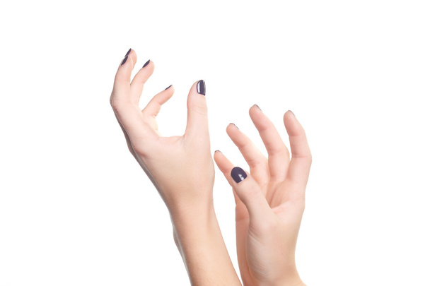 Female hand on a white background - 写真・画像