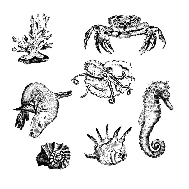 Ocean Life and Marine Creatures with Navy Seal and Seahorse Vector Set - Vektor, kép