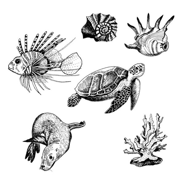 Ocean Life and Marine Creatures with Loggerhead Turtle and Shell Vector Set - Vektör, Görsel