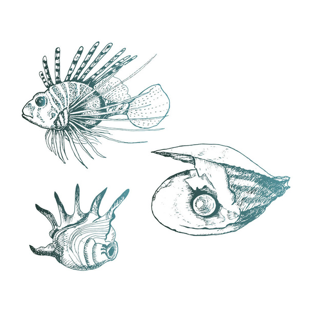Ocean Life and Marine Creatures with Lionfish and Shell Vector Set - Vektori, kuva