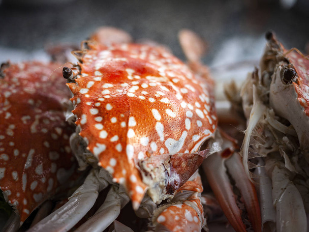 gedämpfte Krabbe im Teller - Foto, Bild