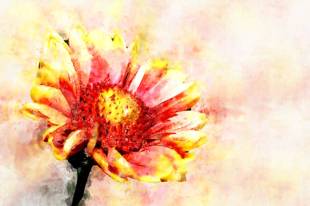 Red Helenium flower close-up on green grass background. Stylization in watercolor drawing. - Foto, Bild