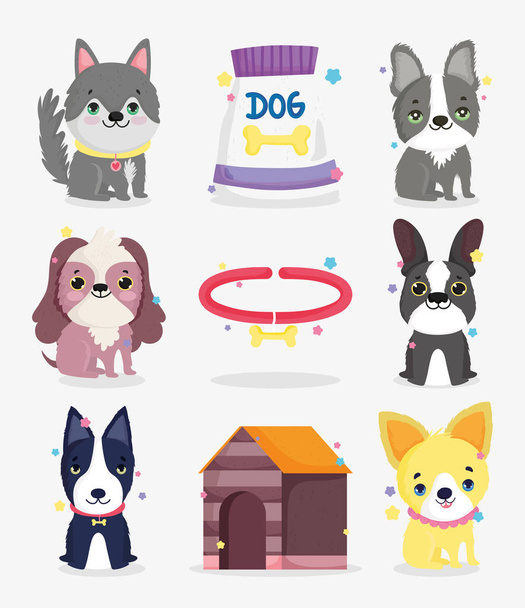cute little dogs breeds collar dog domestic cartoon animal, collection pets - Vector, Imagen