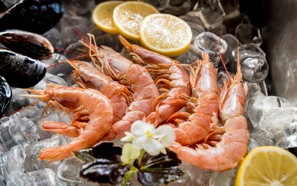 Frozen see food on ice. Shrimps, fish and seashells.  - Photo, image