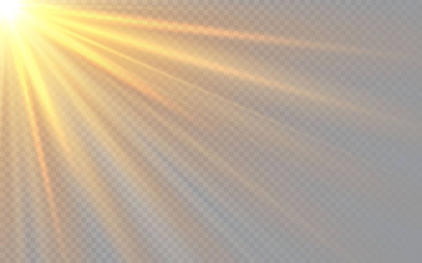 Şeffaf arka plan üzerinde Güneş ışığı özel lens flaş ışık efekti. Bulanık ışığın etkisi. Vektör İllüstrasyonu - Vektör, Görsel