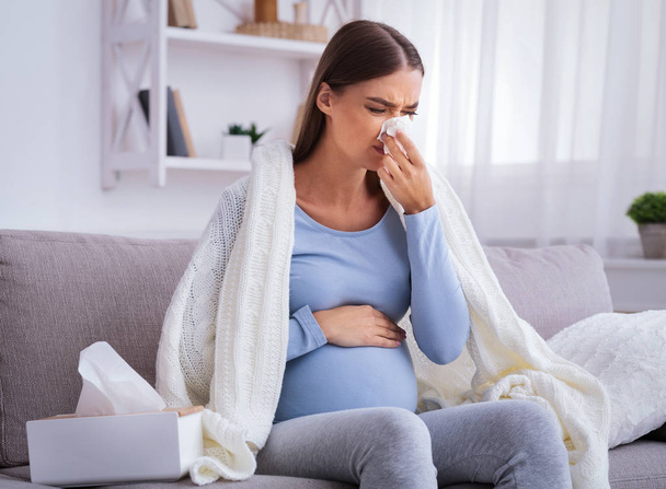 Беременная женщина чувствует нездоровый высморкающийся нос, сидя на диване в помещении
 - Фото, изображение