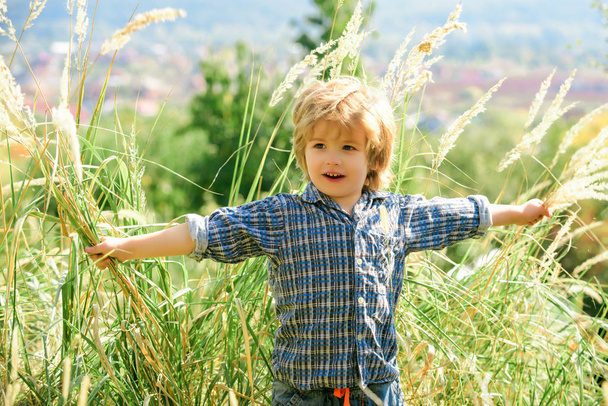 Vapaus. Lapsi luonnossa. Poika pellolla lähellä pitkää ruohoa. Vapaus
. - Valokuva, kuva
