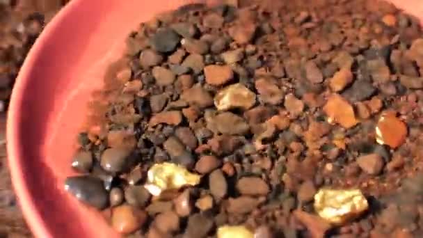Panning for gold. Actual gold bits in pan. - Video, Çekim