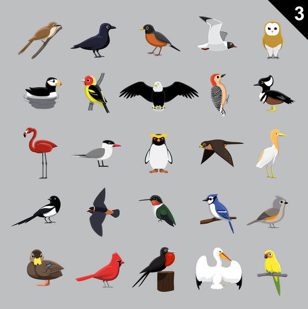 Diversos pájaros Dibujos animados Vector Ilustración 3
 - Vector, imagen