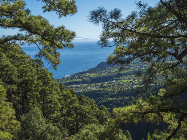 Vista sul bellissimo paesaggio lussureggiante dal sentiero Barranco de la Madera con pineta, villaggi, campi, mare e cielo blu. Isola di La Palma, Isole Canarie, Spagna
 - Foto, immagini