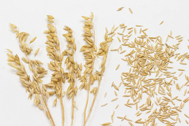 Grains and spikelets of oats. Dietary fiber - Foto, Bild