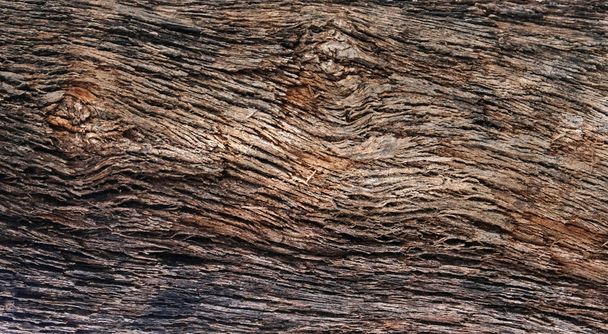 Parte do tronco de uma oliveira velha com casca coberta com um padrão de rachaduras
 - Foto, Imagem