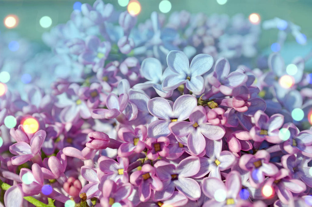 Flores violetas lila primavera. Flores púrpuras hermosas
 - Foto, Imagen