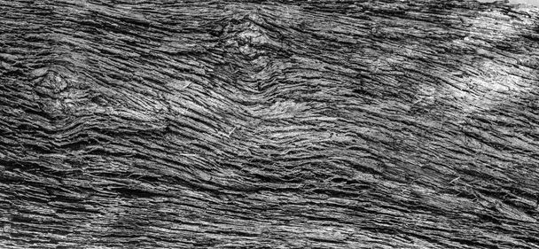 Részét a törzs kéreg öreg olajfa borított egy mintát a repedések - Fotó, kép
