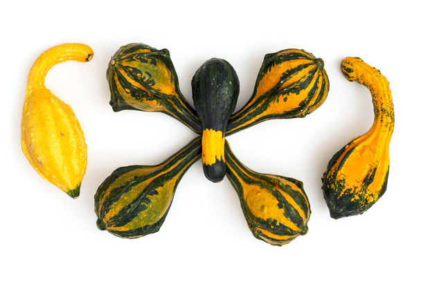 Gourds ornamentali impilati su uno sfondo bianco
 - Foto, immagini