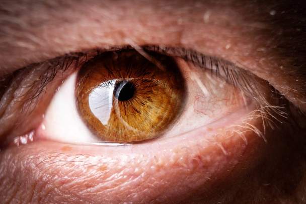 menselijk oog macro - Foto, afbeelding