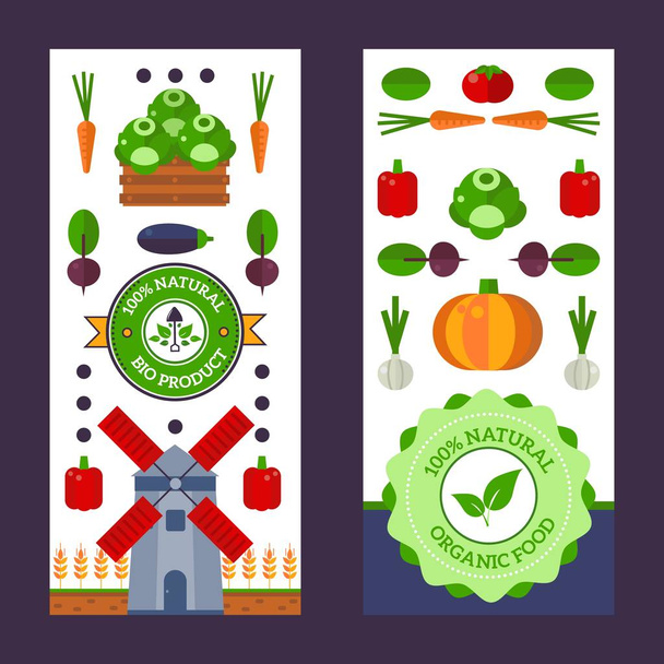 Vertical banners with flat style icons of farm vegetables, vector illustration. Pumpkin, cabbage, turnip, carrot and pepper. Organic products from local farm, fresh healthy food - Vector, Image