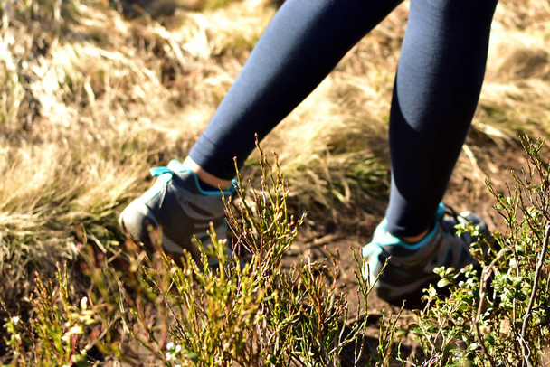 Detalle de piernas y zapatos de un turista mientras camina por un sendero de montaña en otoño
 - Foto, Imagen