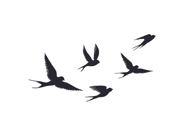 Silueta de aves voladoras sobre fondo blanco. Vector conjunto de bandada de golondrinas signo. Tatuaje aves de primavera o aves rápidas
 - Vector, Imagen