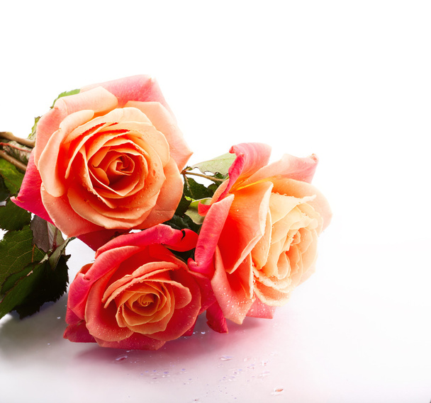 Beautiful bouquet of roses - Photo, image