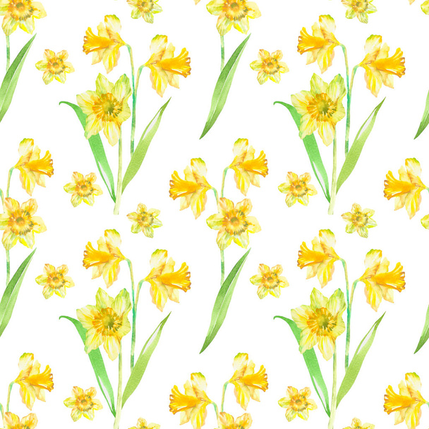 Floral seamless pattern with yellow narcissus watercolor. Spring floral background. Hand drawn painting - Photo, image