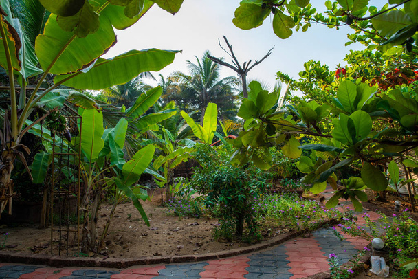Awe  park near  small garden in South India - Fotoğraf, Görsel
