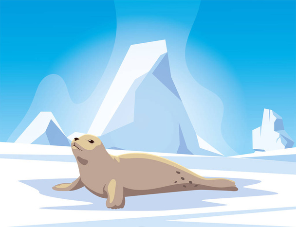 seal at the north pole, arctic landscape - Vektör, Görsel