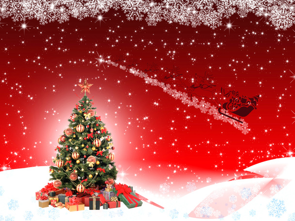 Christmas tree - Photo, Image