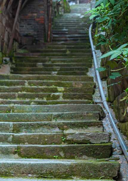Sube las escaleras de piedra. Extendiendo escaleras y plantas verdes. ambiente cómodo. Buen lugar para un paseo tranquilo
 - Foto, imagen