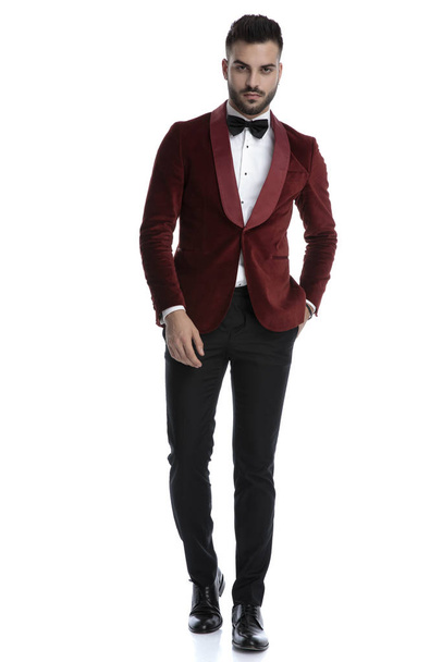 sexy young man in red velvet tuxedo holding hand in pocket - 写真・画像