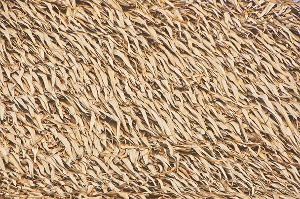 Закрыть соломенный фон крыши, сена или сухой травы
, - Фото, изображение