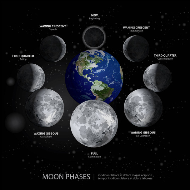 Movements of the Moon Phases Realistic Vector Illustration - Vector, Image