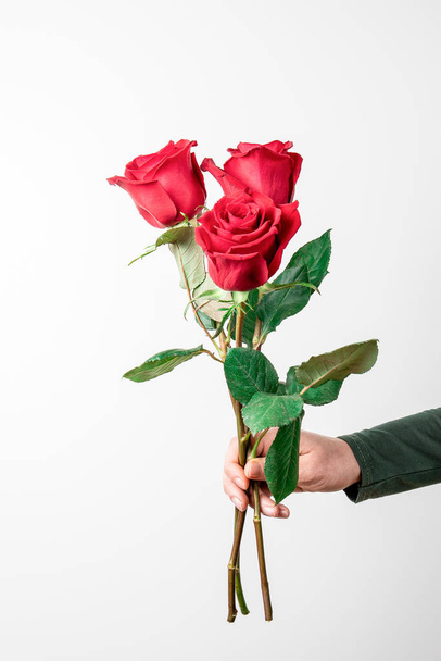 Rosa roja en la mano sobre fondo blanco. Concepto para el romance, Día de San Valentín, 8 de marzo, cumpleaños
 - Foto, Imagen