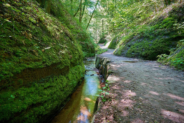 Sentier de randonnée avec un ruisseau dans les Gorges du Dragon près d'Eisenach en Thuringe
 - Photo, image